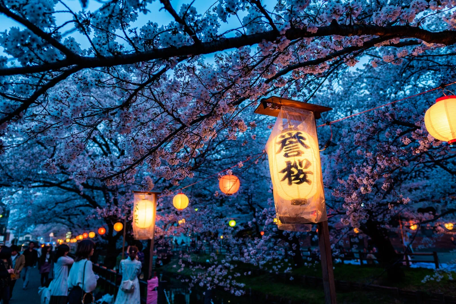 beige and black lamp on green tree during nighttime